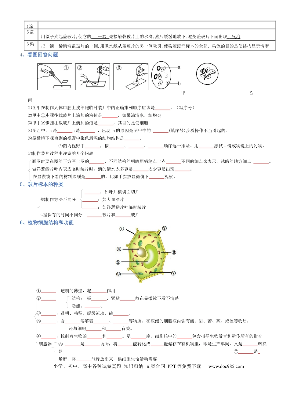 专题02 生物体的结构层次（填空版）.docx