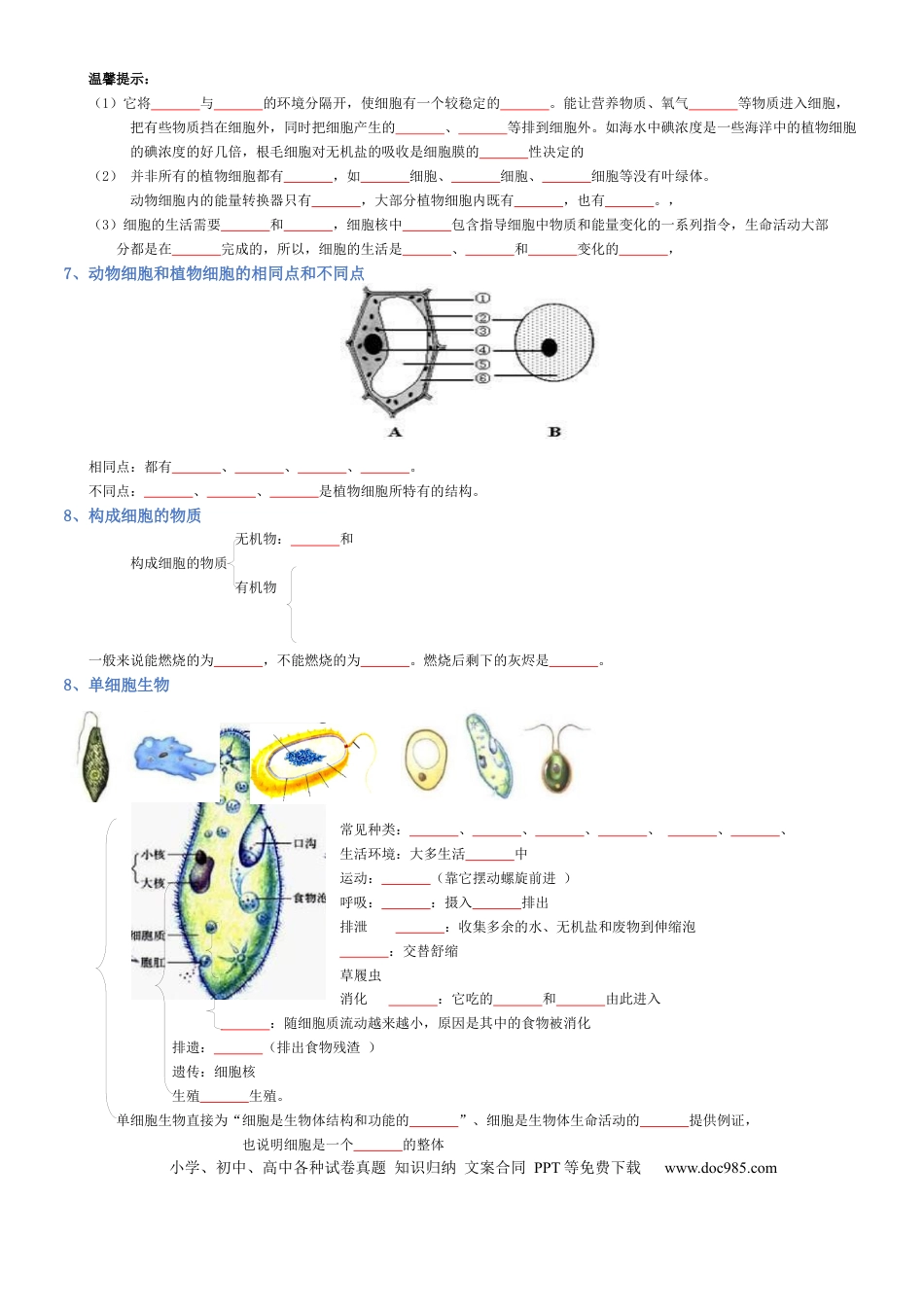 专题02 生物体的结构层次（填空版）.docx