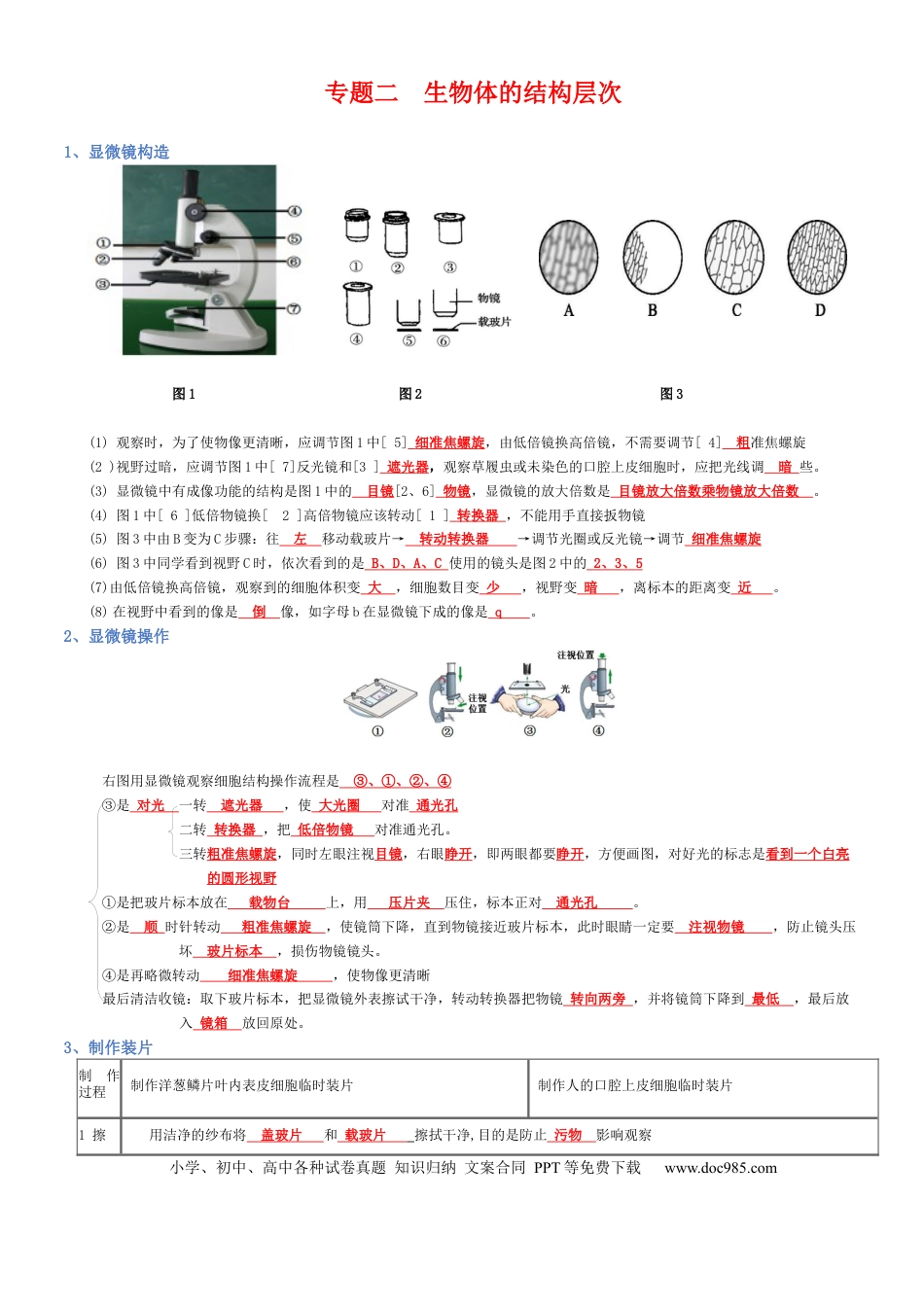 专题02 生物体的结构层次（背诵版）.docx