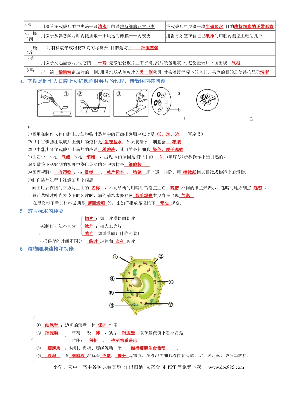 专题02 生物体的结构层次（背诵版）.docx