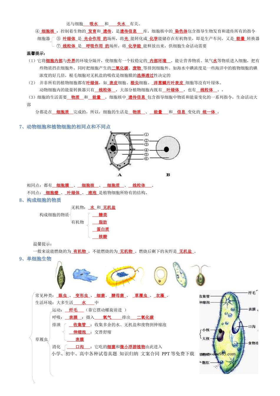 专题02 生物体的结构层次（背诵版）.docx