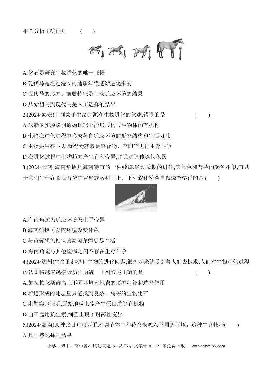 第21讲　生命起源和生物进化  2025年中考生物学专题（含答案）.docx
