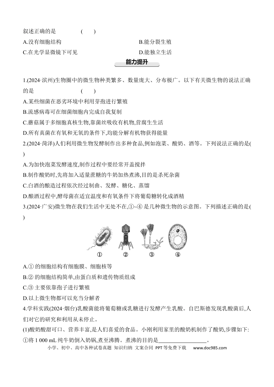 第17讲　细菌、真菌和病毒  （含答案）.docx