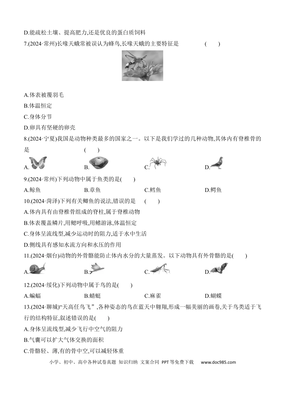 第15讲　动物的主要类群  （含答案）.docx