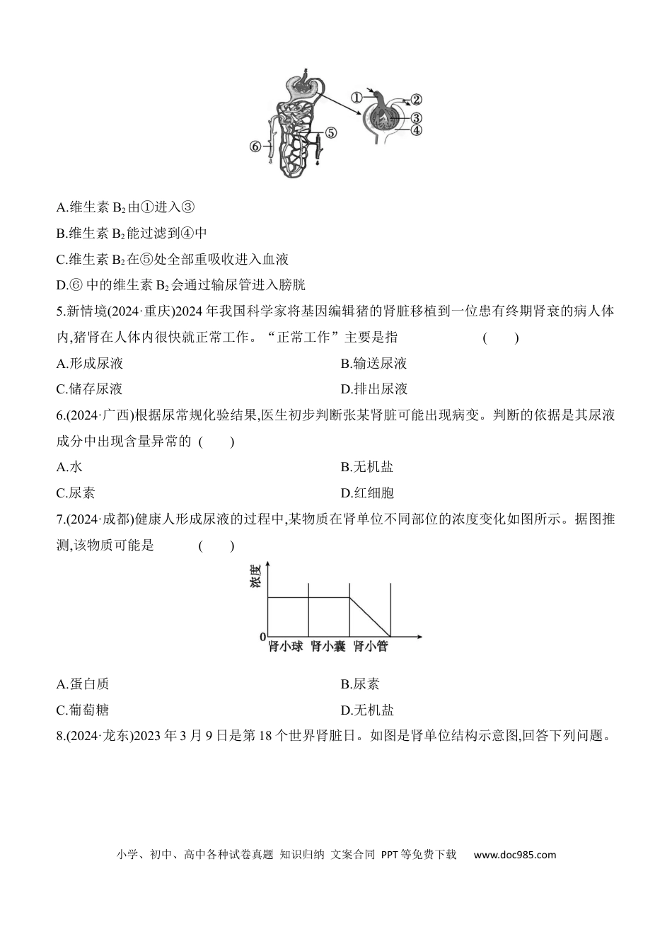 第13讲　人体内废物的排出  （含答案）.docx