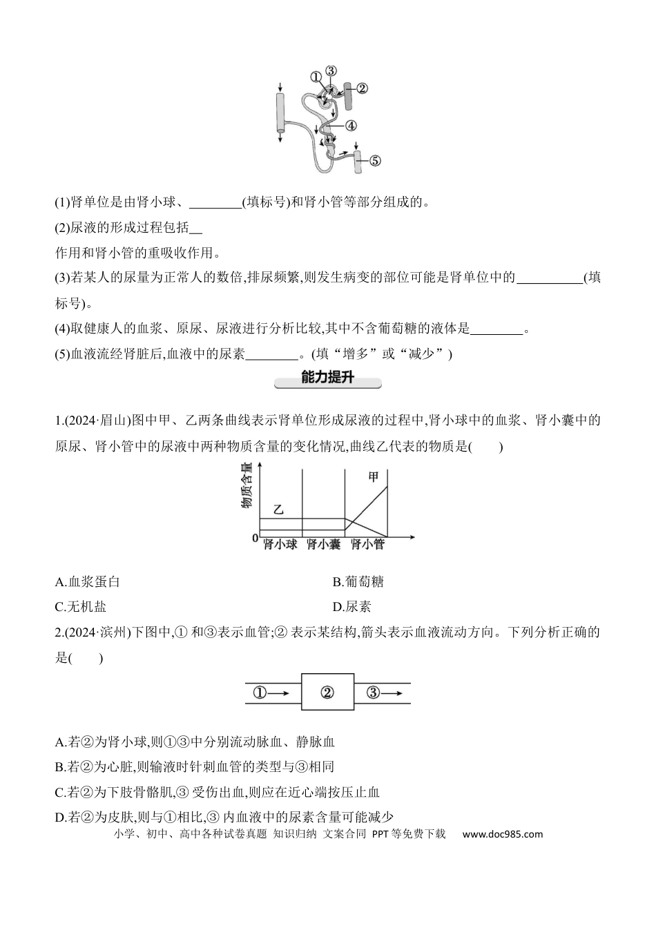 第13讲　人体内废物的排出  （含答案）.docx