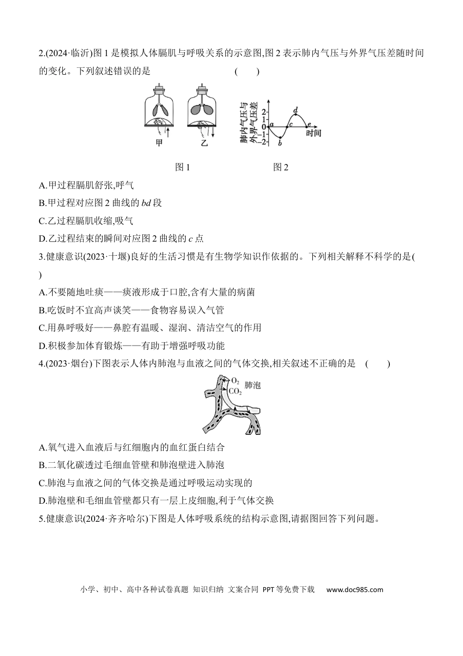 第11讲　人体的呼吸  （含答案）.docx