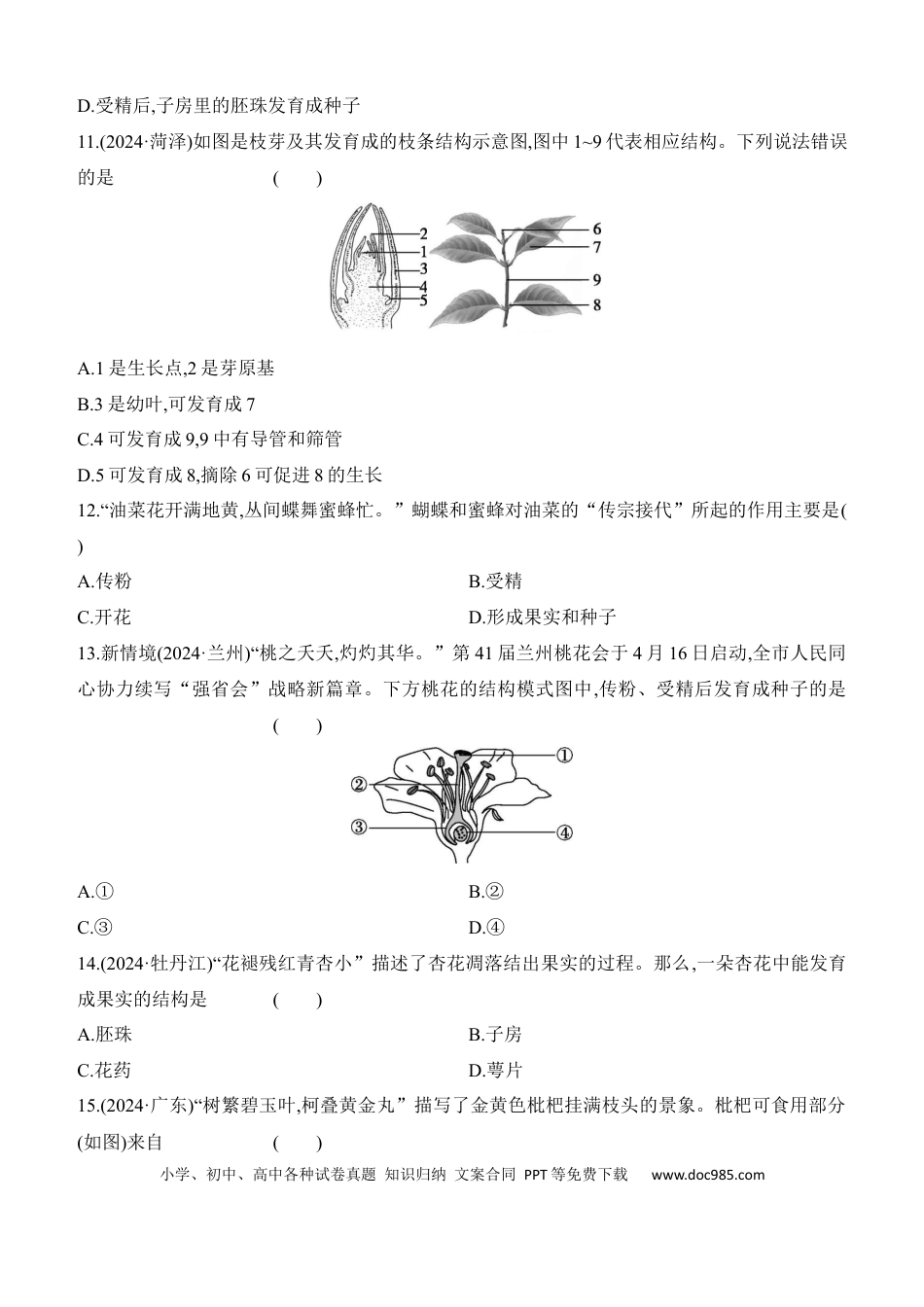 第06讲　被子植物的一生  （含答案）.docx