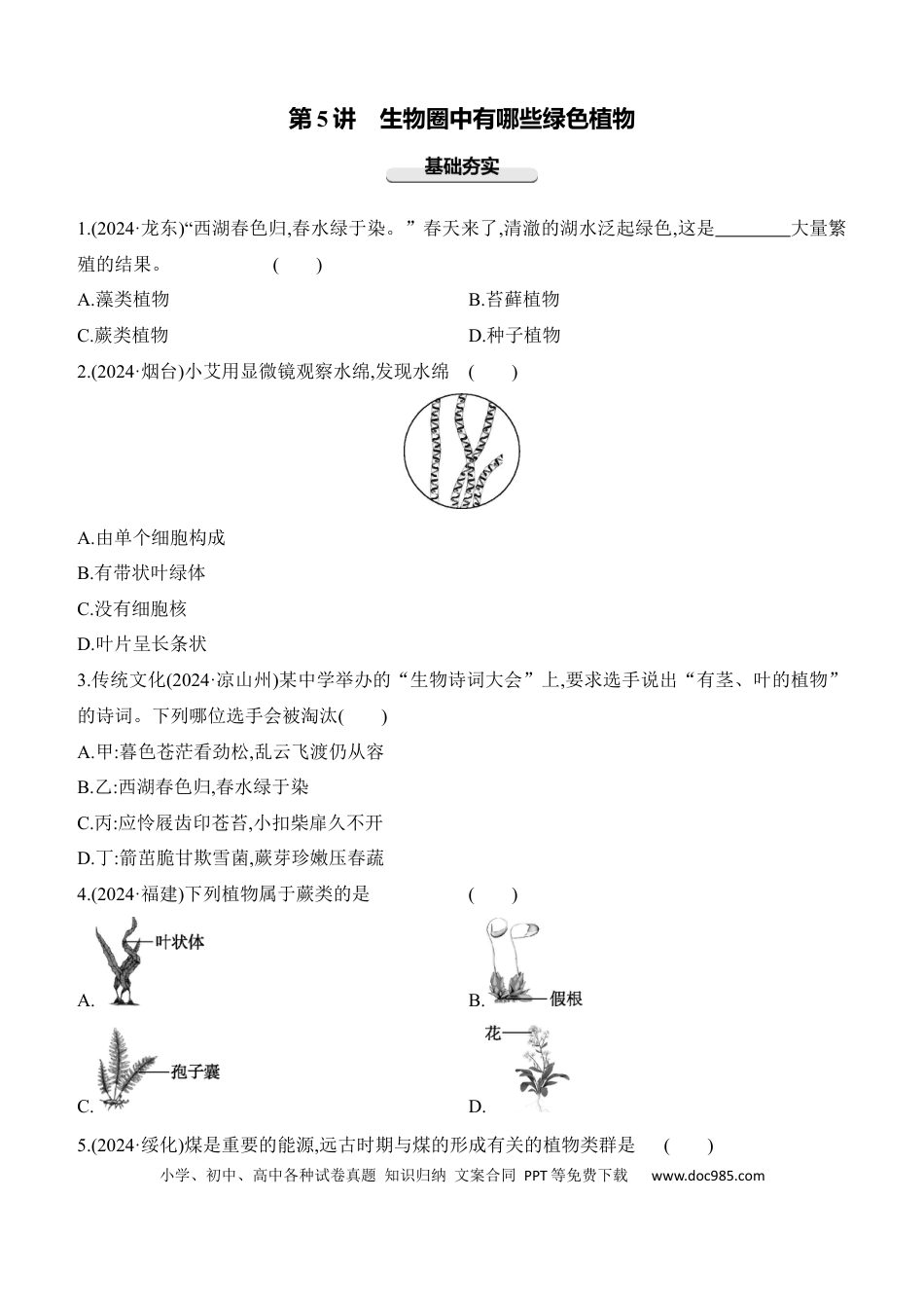 第05讲　生物圈中有哪些绿色植物  （含答案）.docx