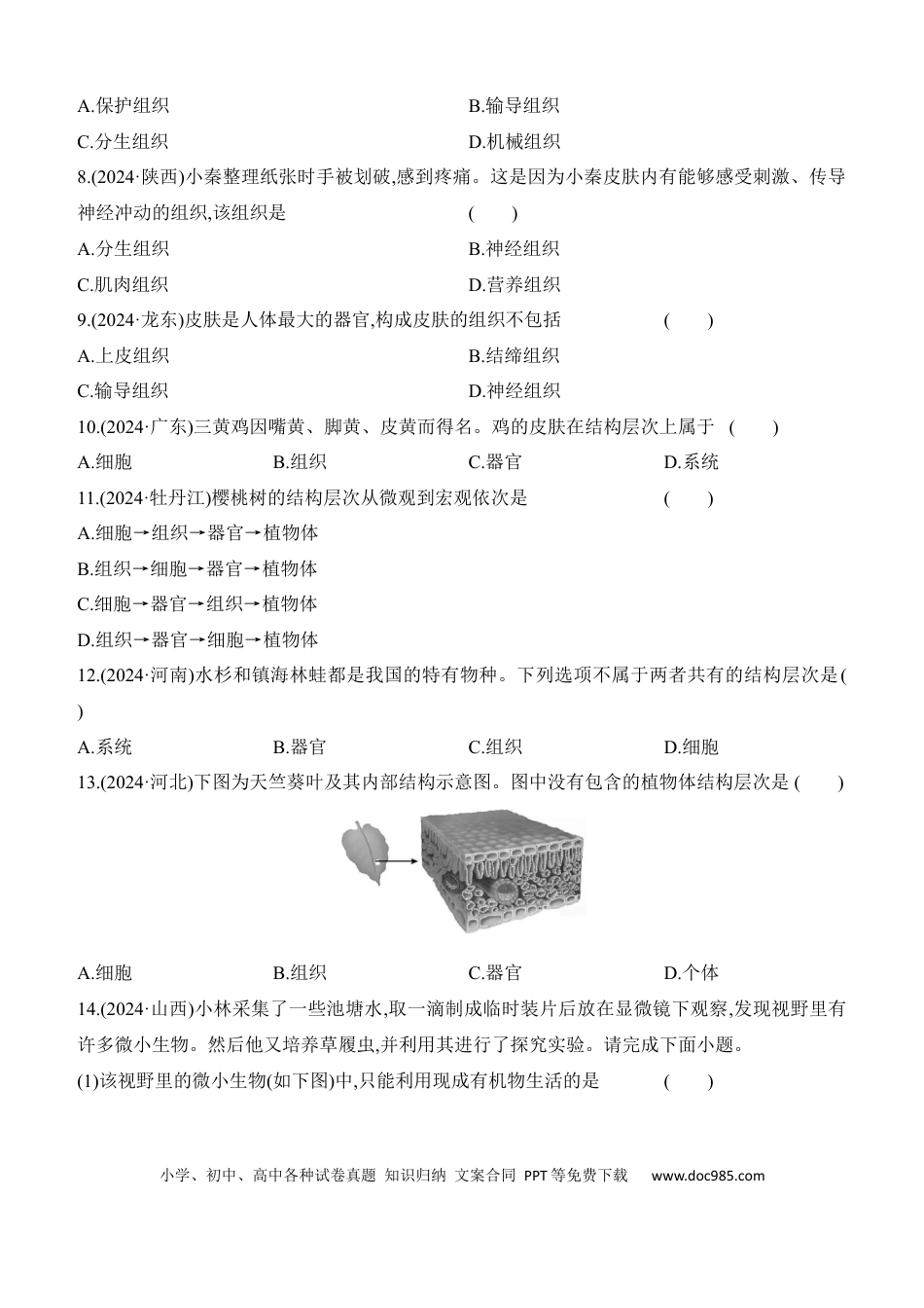 第04讲　细胞怎样构成生物体  （含答案）.docx