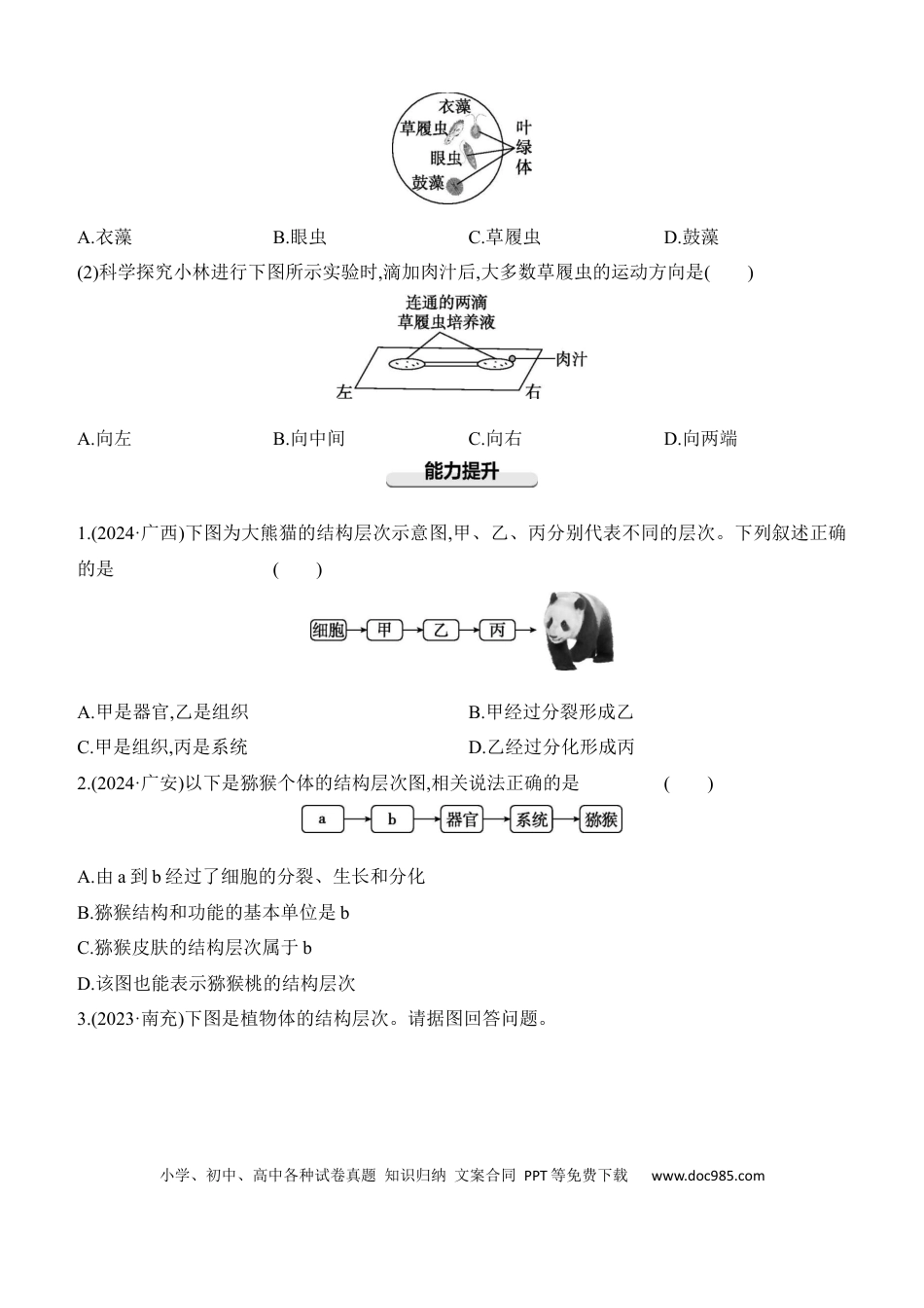 第04讲　细胞怎样构成生物体  （含答案）.docx
