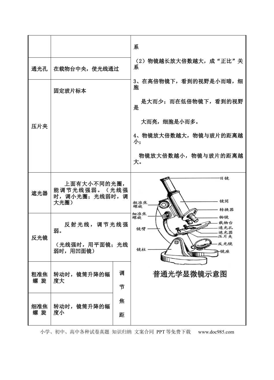 初中生物（全册教材）考点总结图（42页）.docx