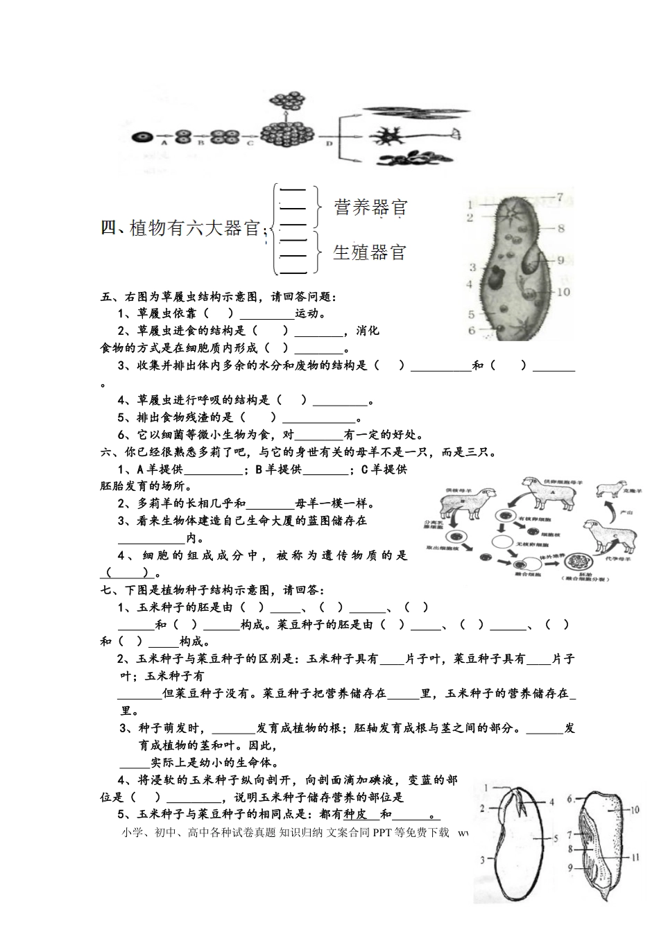 初中生物识图专题训练---全四册---有答案.doc