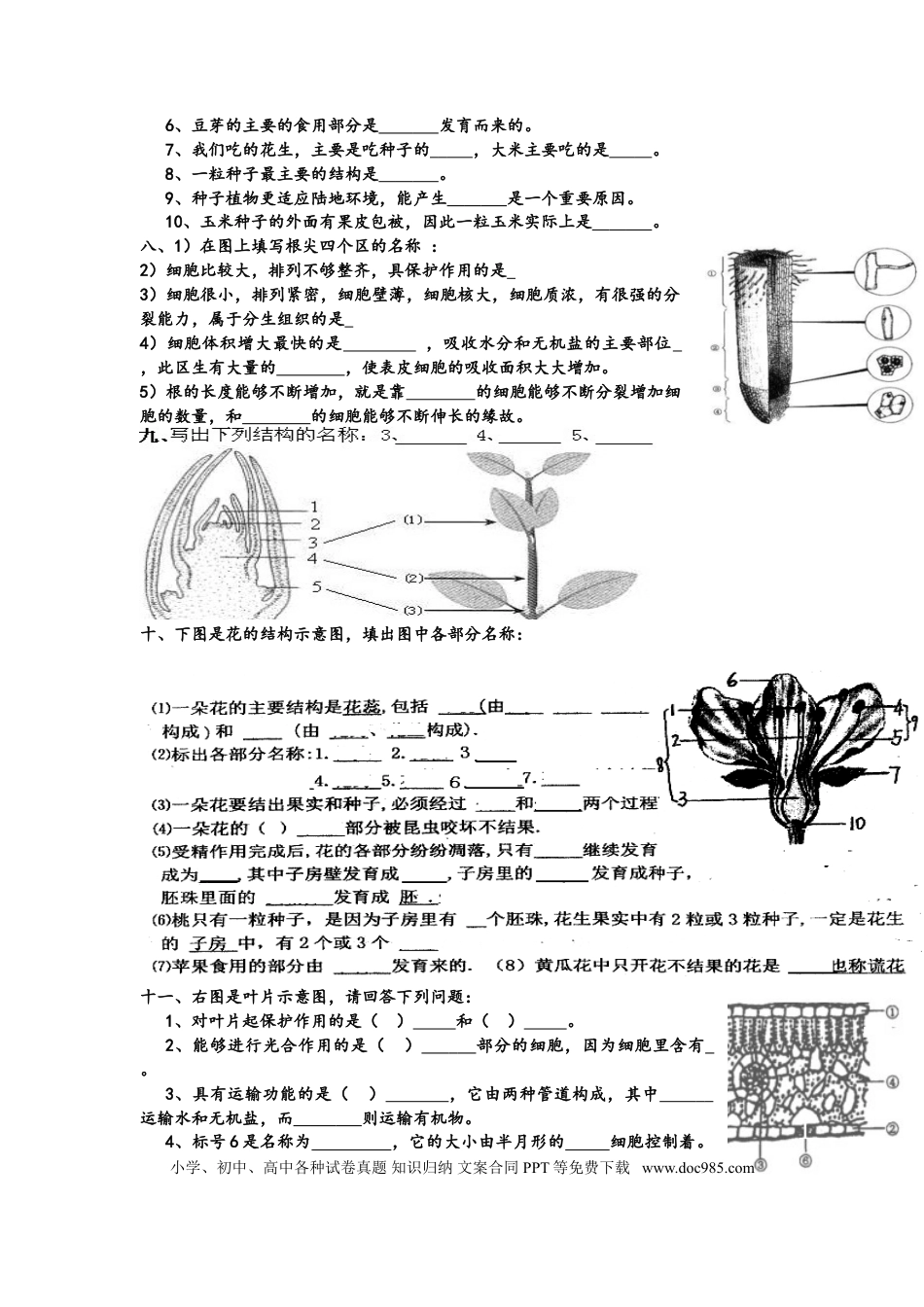 初中生物识图专题训练---全四册---有答案.doc
