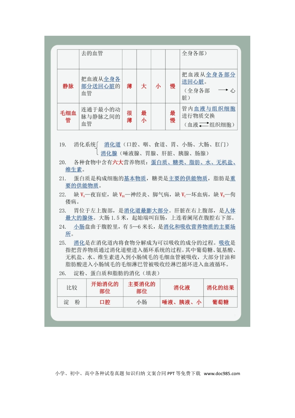 初中生物会考117个必考点.doc