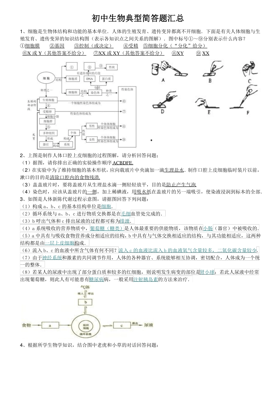 初中生物简答题汇总.pdf
