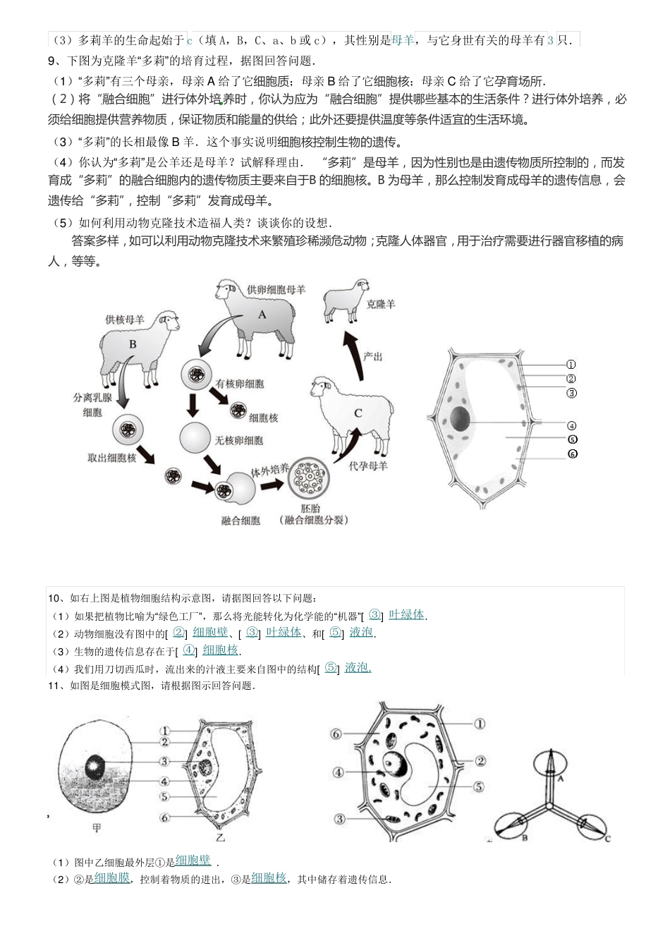 初中生物简答题汇总.pdf
