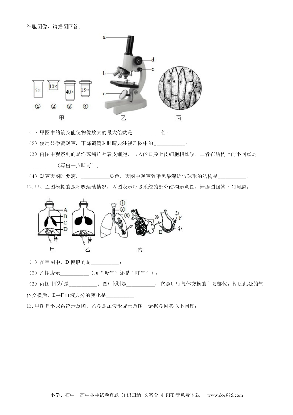 精品解析：2022年辽宁省本溪市中考生物真题（原卷版）.docx