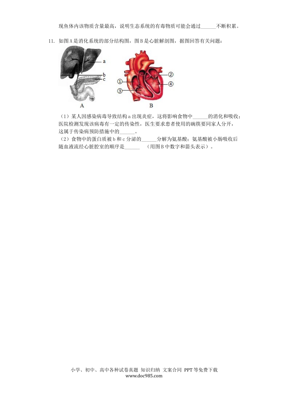 四川省泸州市2019年中考生物真题试题（含解析）.docx