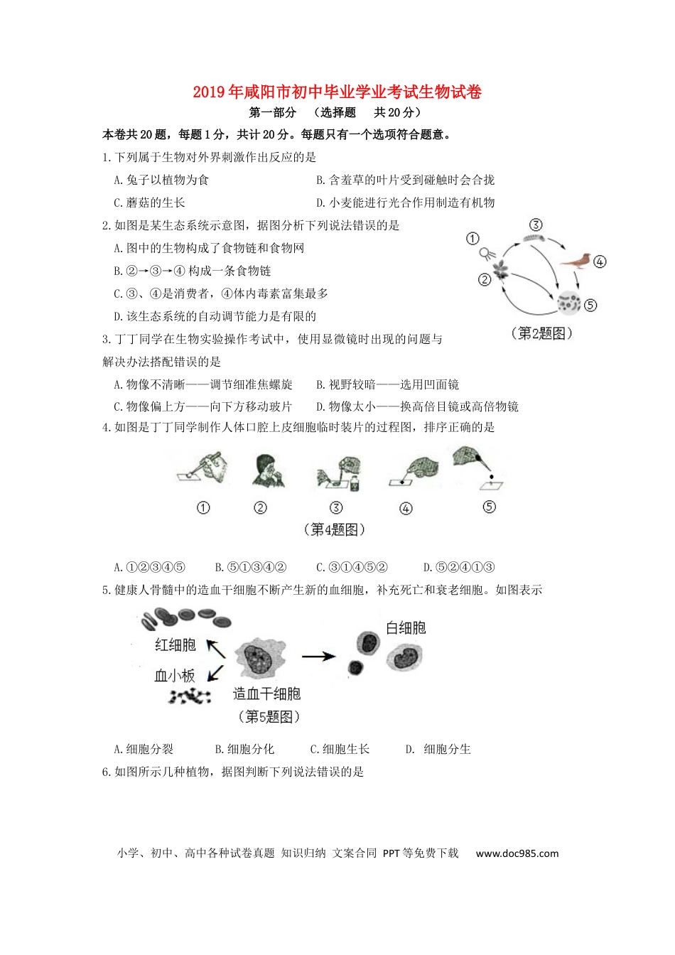 陕西省咸阳市2019年中考生物真题试题.docx