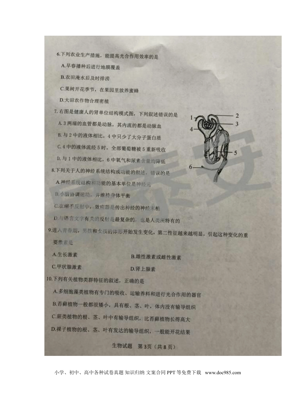 山东省泰安市2019年中考生物真题试题（扫描版）.doc