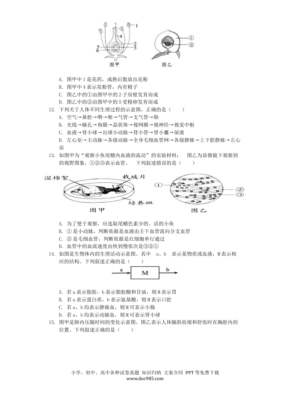 山东省青岛市2019年中考生物真题试题（含解析）.docx