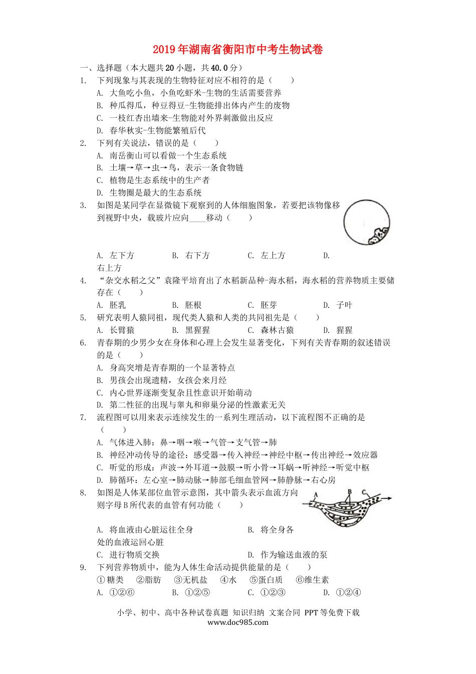 湖南省衡阳市2019年中考生物真题试题（含解析）.docx