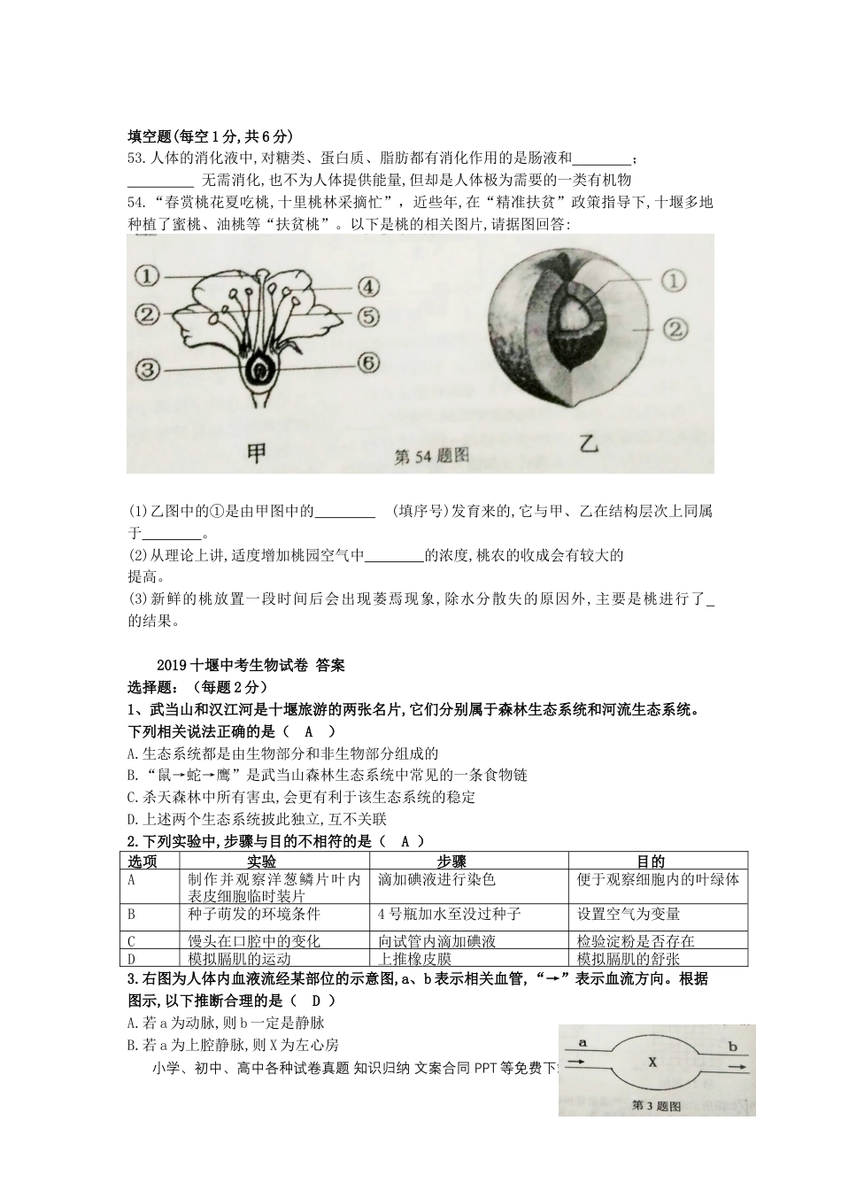湖北省十堰市2019年中考生物真题试题.doc