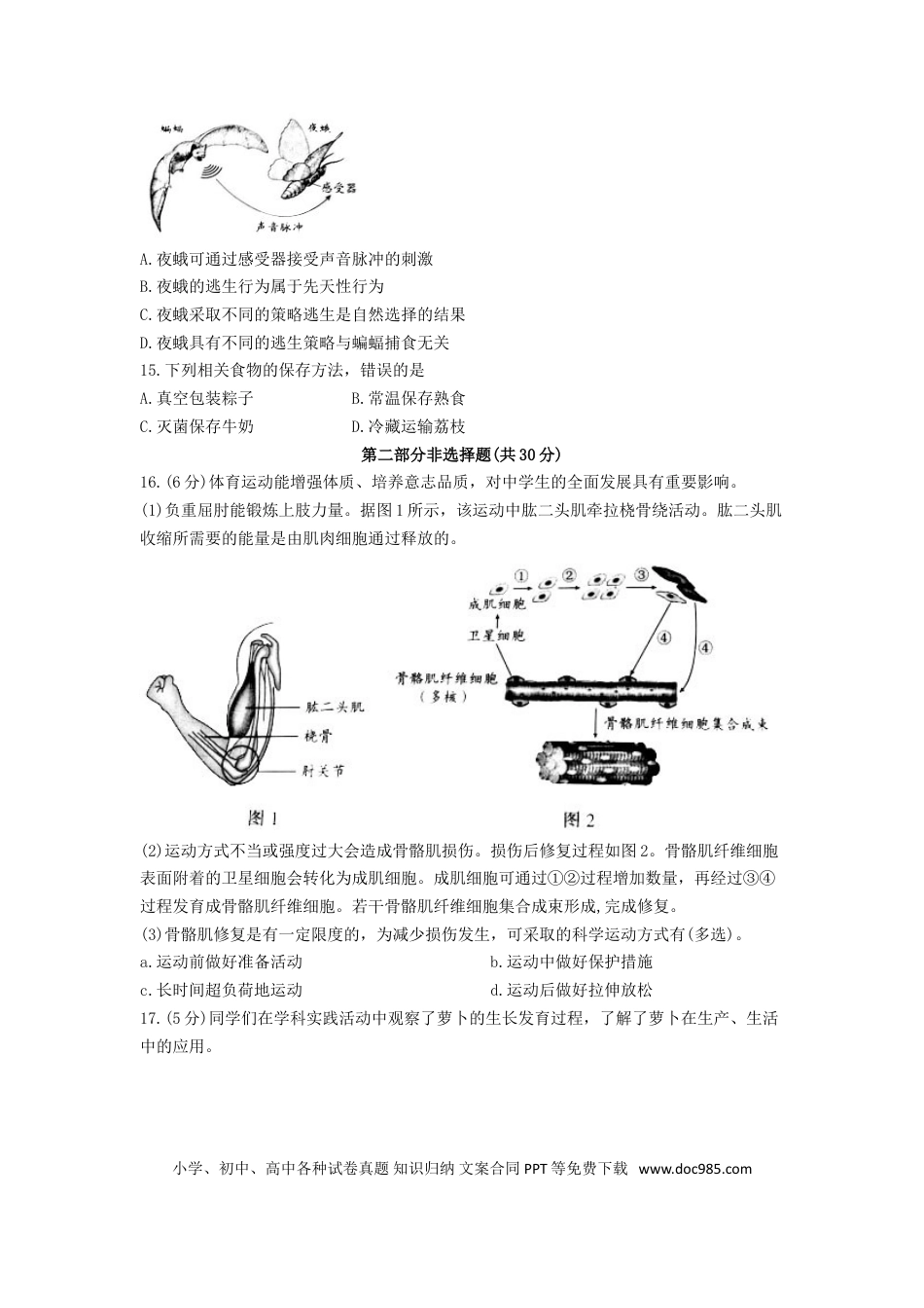 北京市2019年中考生物真题试题.doc