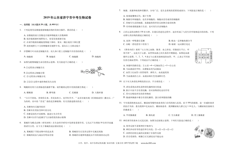 2019年山东省济宁市中考生物试题（Word版，含解析）.docx