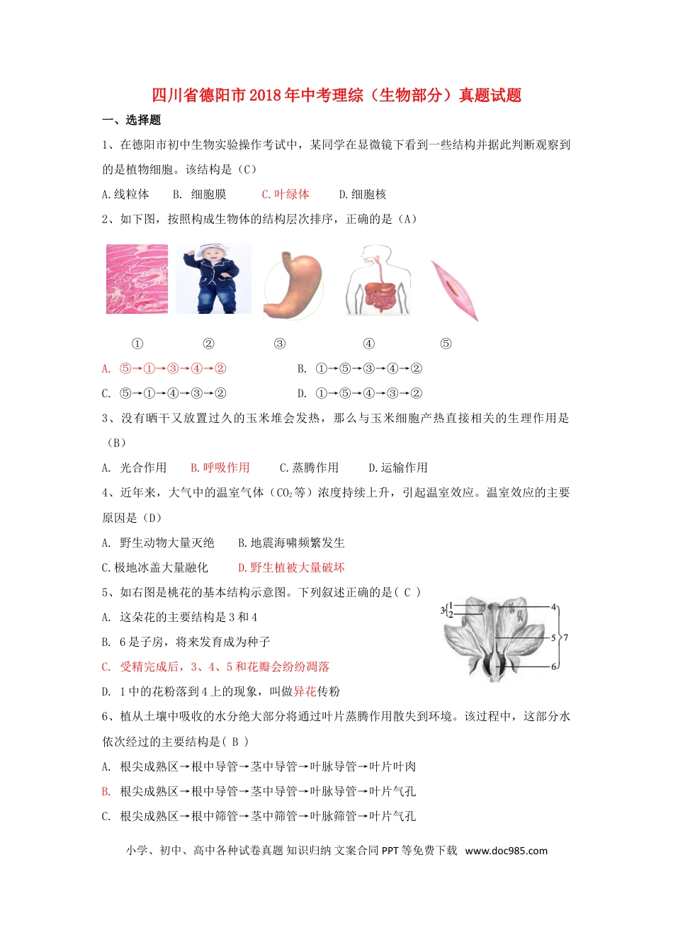 四川省德阳市2018年中考理综（生物部分）真题试题（含答案）.doc