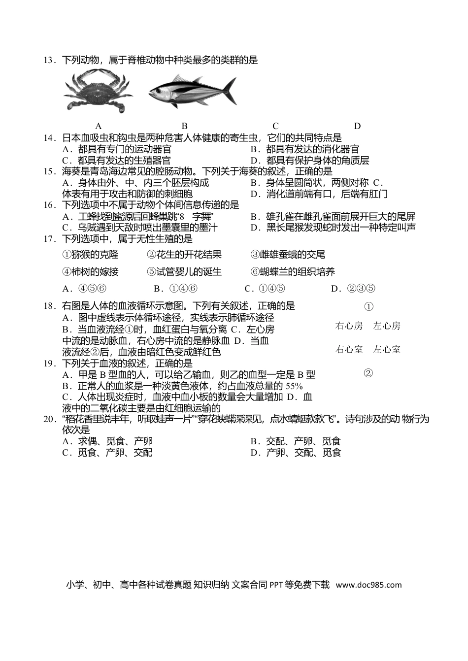 山东省青岛市2018年初中学业水平考试生物试题（word版 含答案）.doc