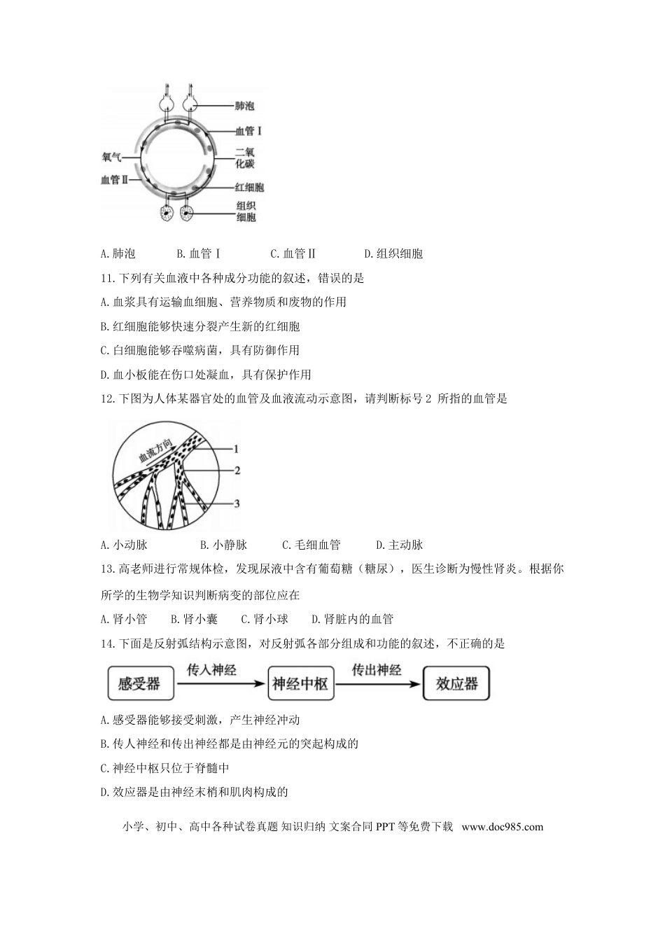 山东省聊城市2018年中考生物真题试题（含答案）.doc