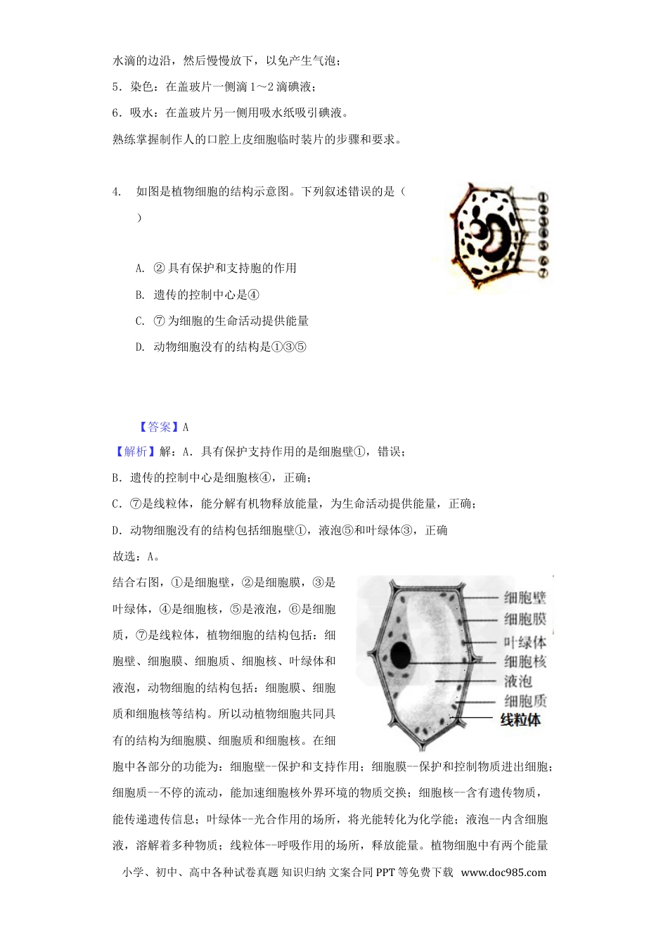 山东省滨州市2018年中考生物真题试题（含解析）.doc