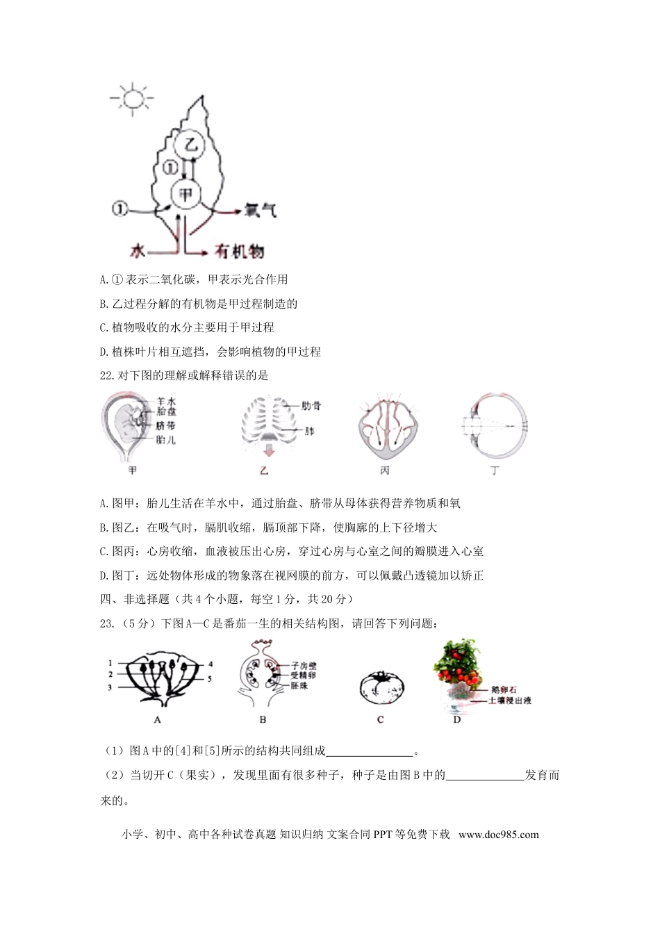 湖北省黄冈市2018年中考生物真题试题（含答案）.doc