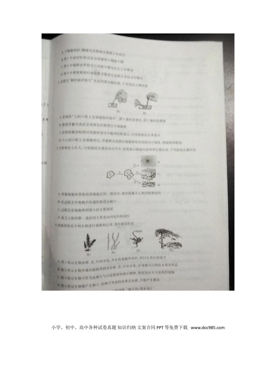 河南省新乡市2018年中考生物真题试题（扫描版，含答案）.doc