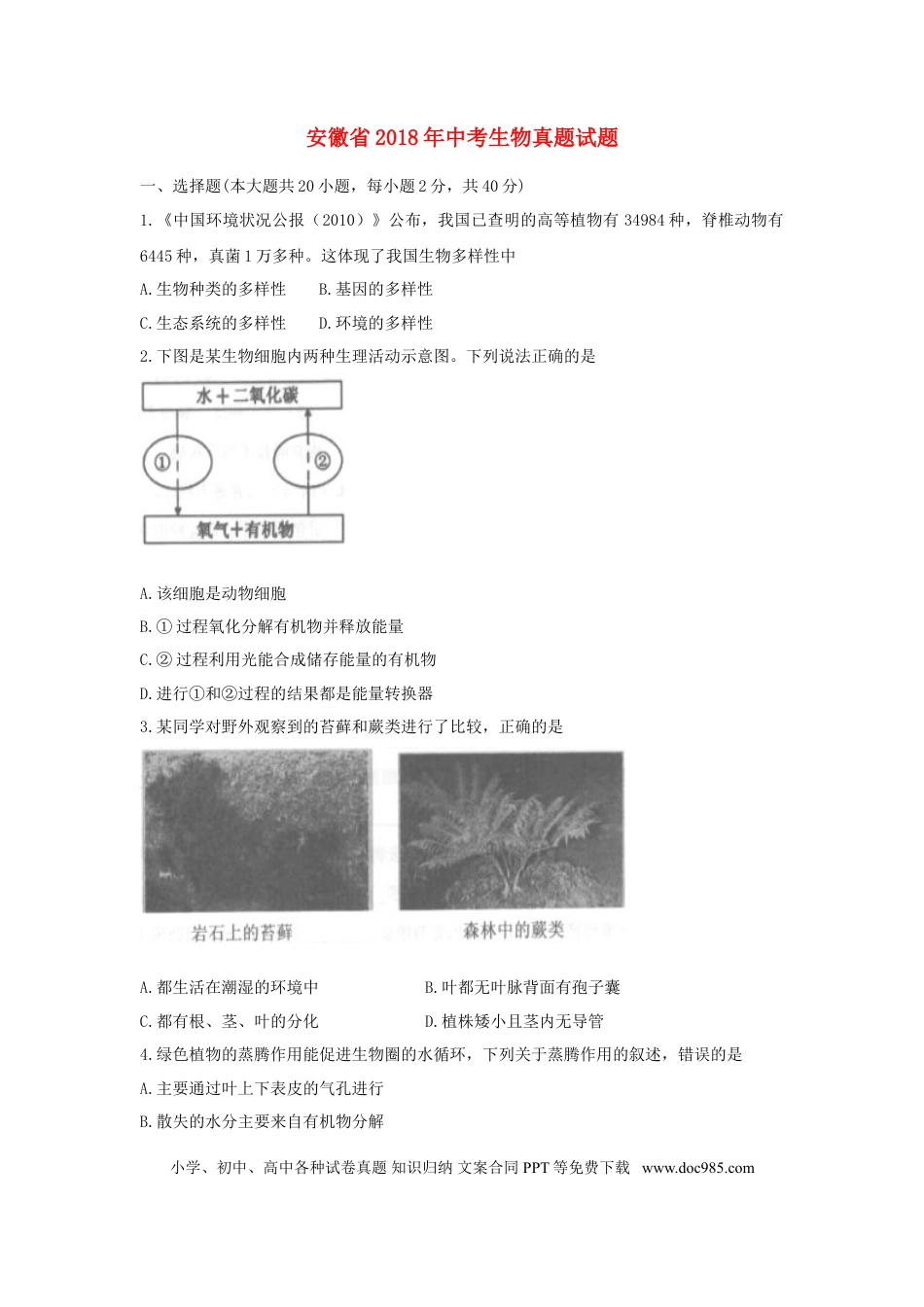 安徽省2018年中考生物真题试题（含答案）.doc