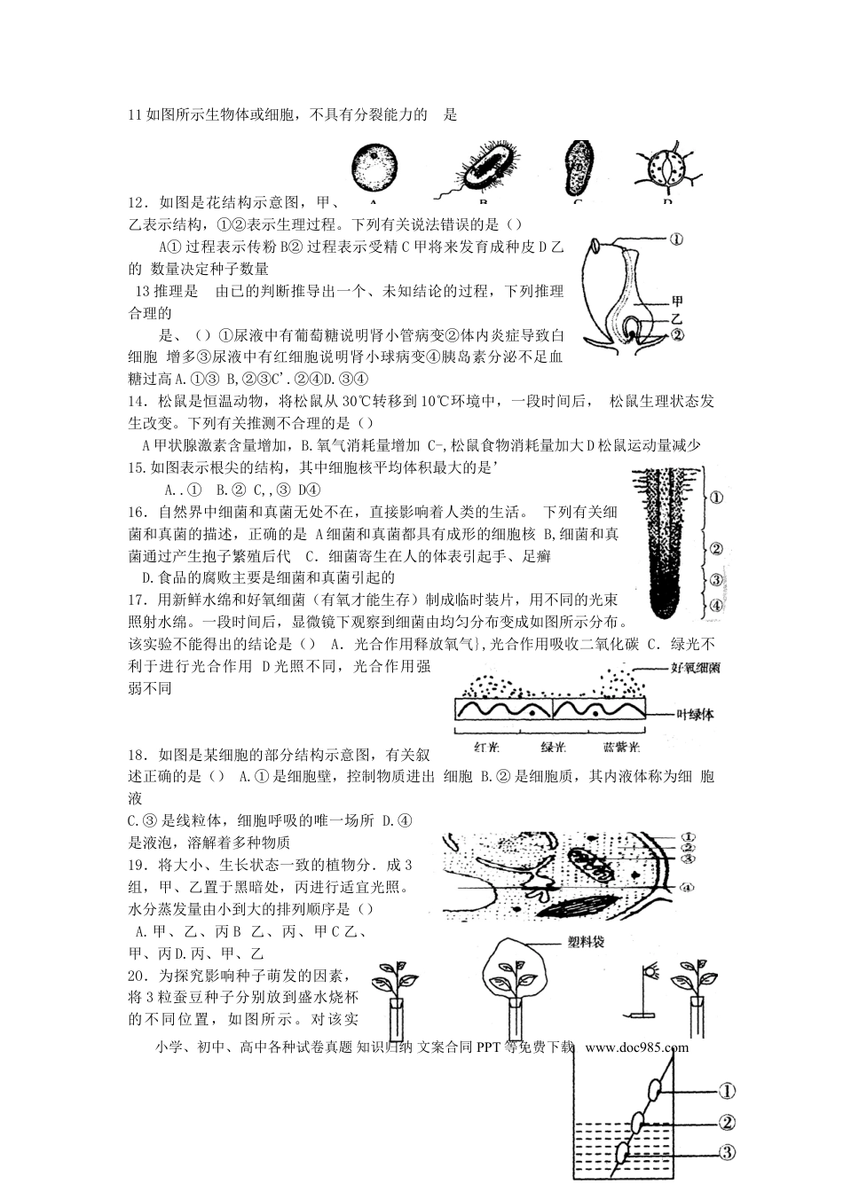 山东省日照市2017年中考生物真题试题（含答案）.doc