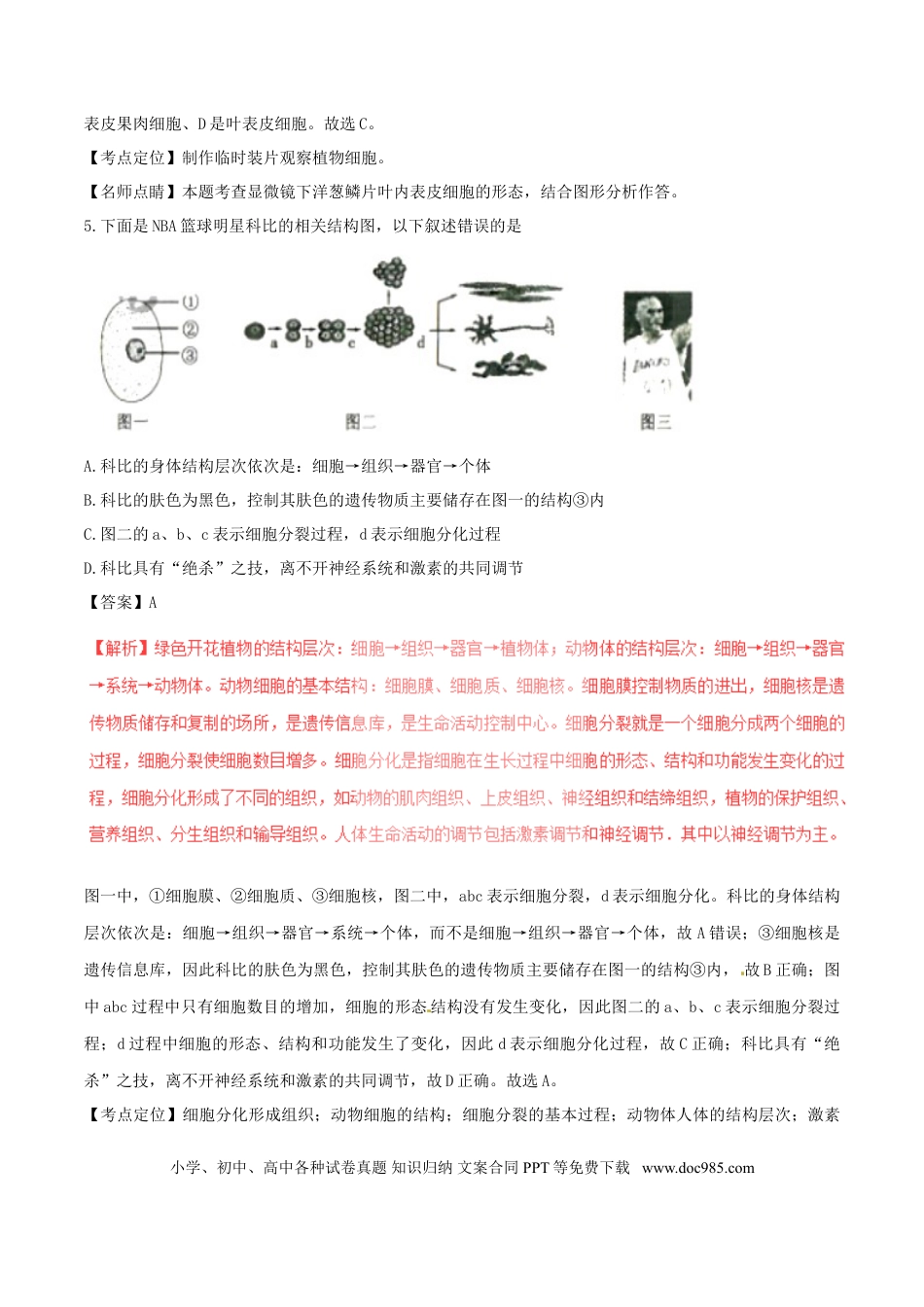湖南省衡阳市2017年中考生物真题试题（含解析）.doc