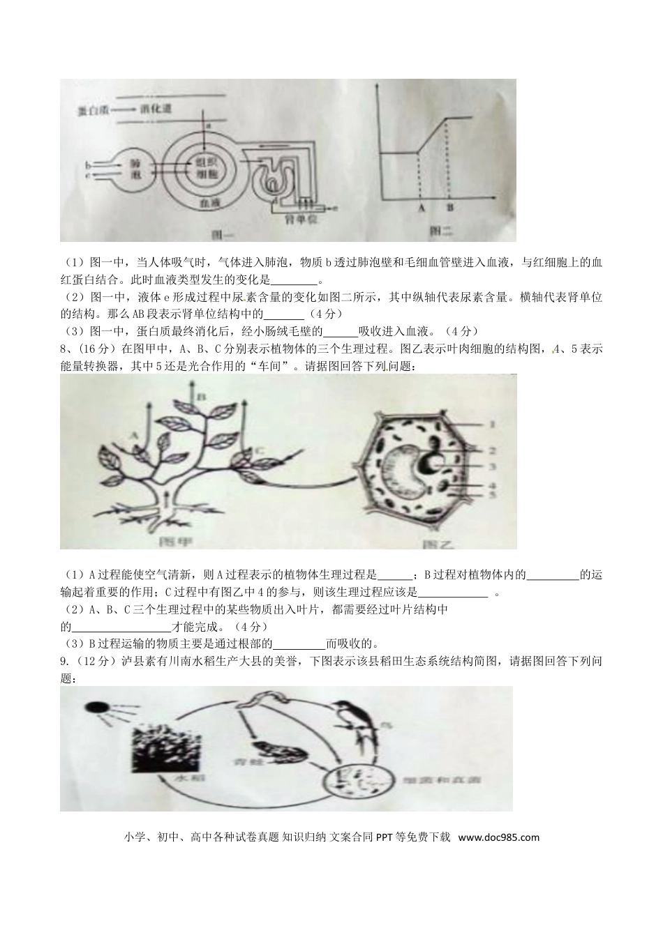 四川省泸州市2016年中考生物真题试题（含答案）.doc