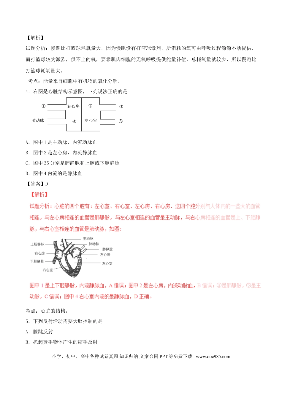四川省德阳市2016年中考生物真题试题（含解析）.doc