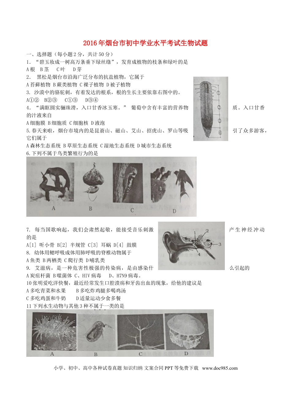 山东省烟台市2016年中考生物真题试题（含答案）.doc
