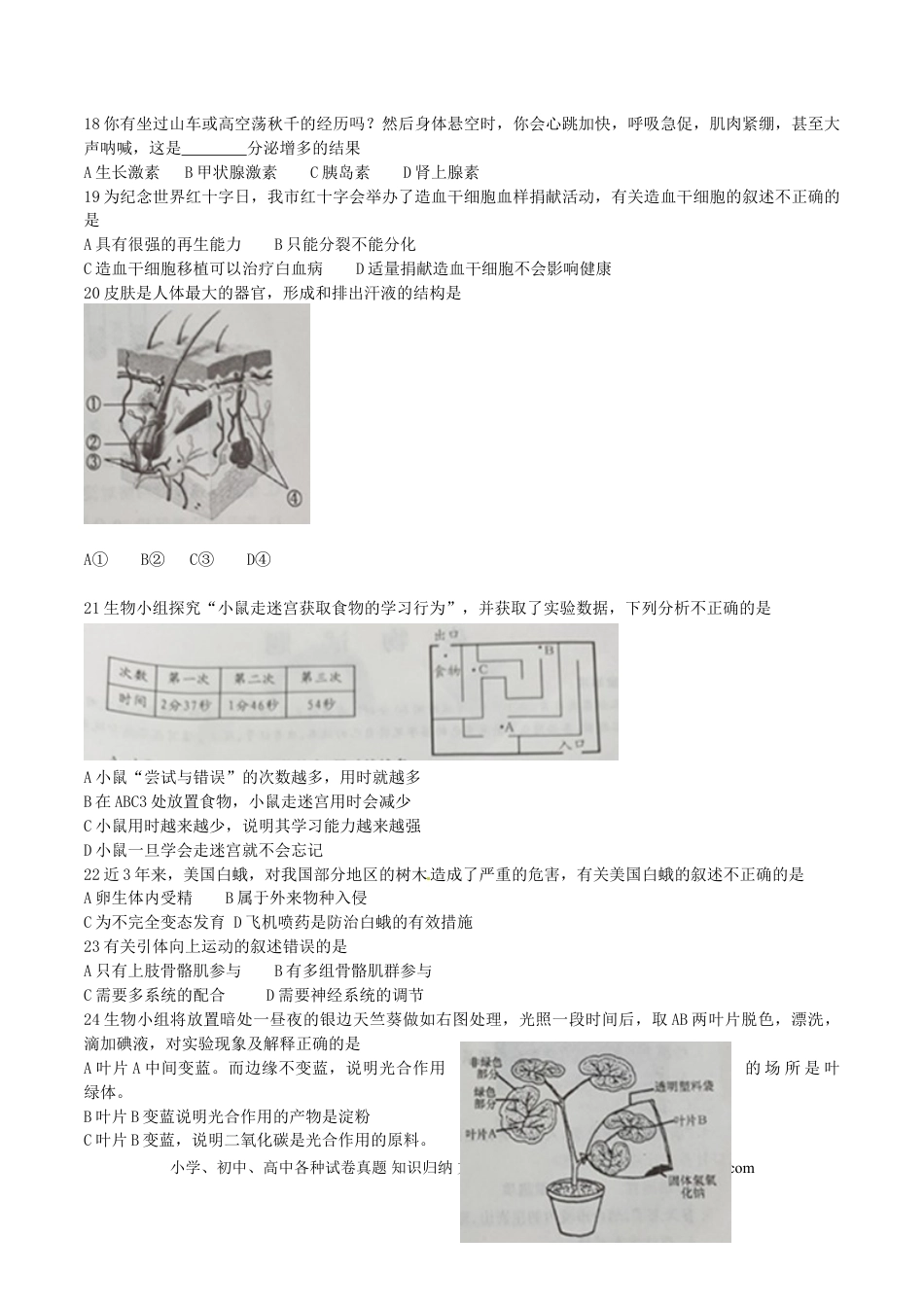 山东省烟台市2016年中考生物真题试题（含答案）.doc