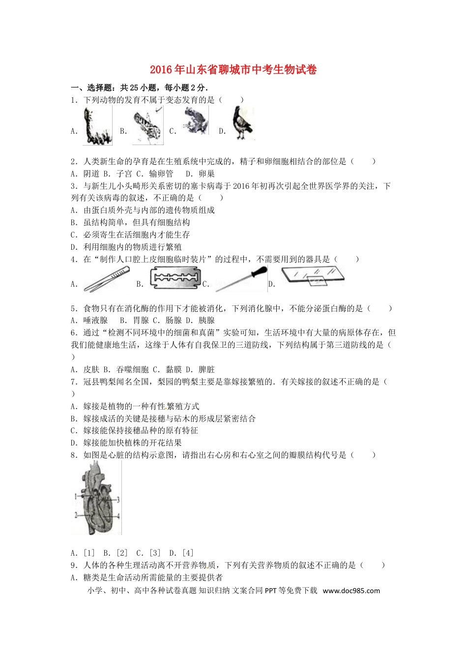 山东省聊城市2016年中考生物真题试题（含解析）.doc