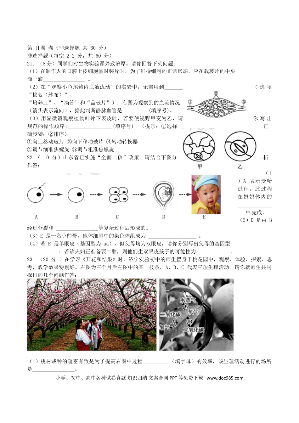 山东省济宁市2016年中考生物真题试题（含答案）.doc