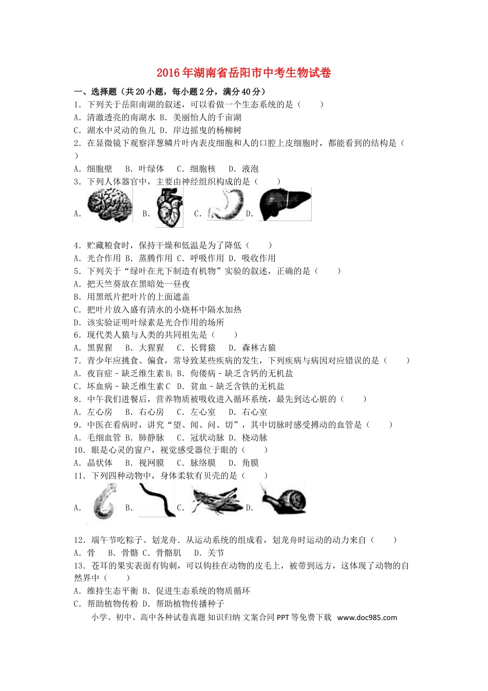 湖南省岳阳市2016年中考生物真题试题（含解析）.doc