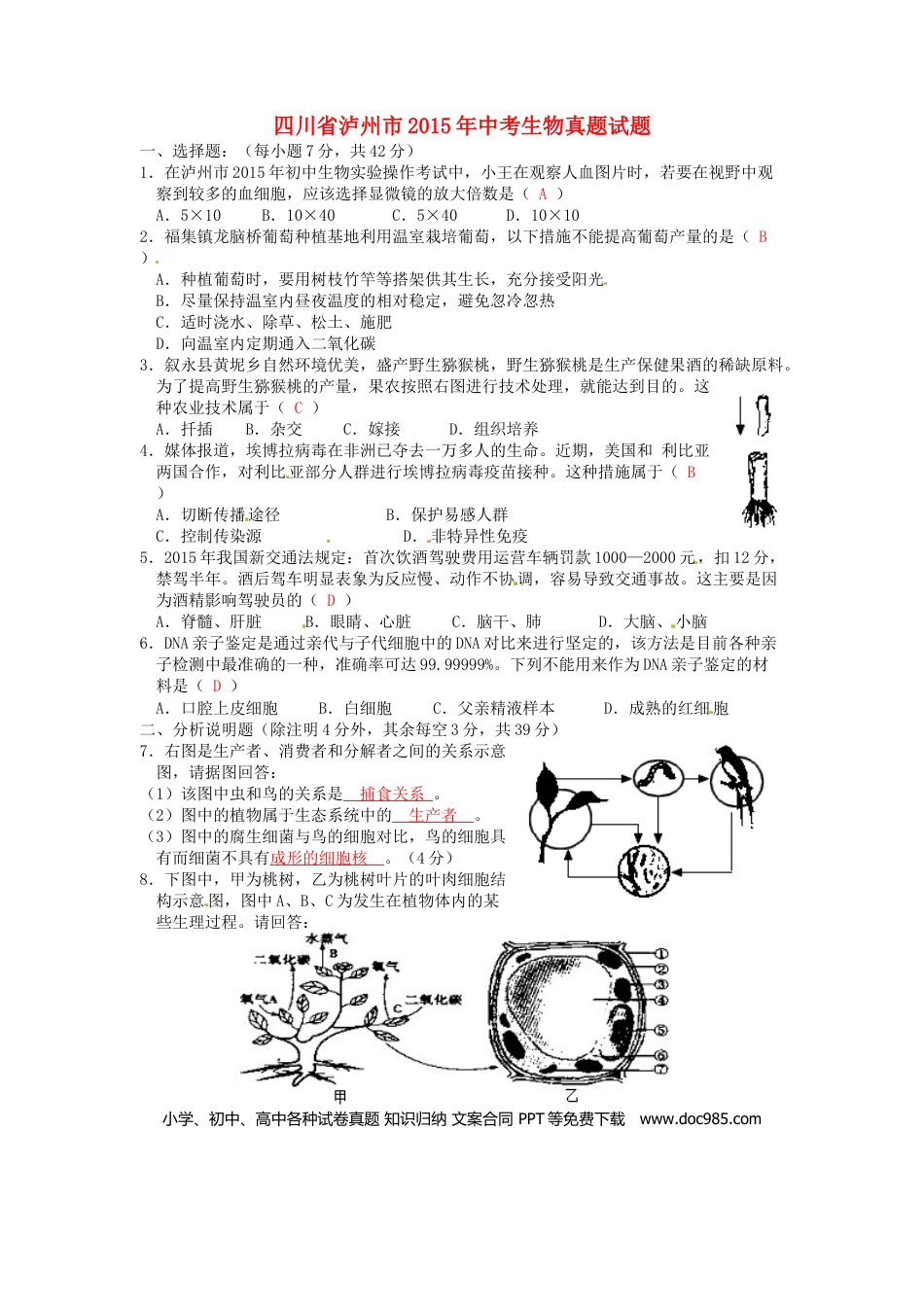 四川省泸州市2015年中考生物真题试题（含答案）.doc