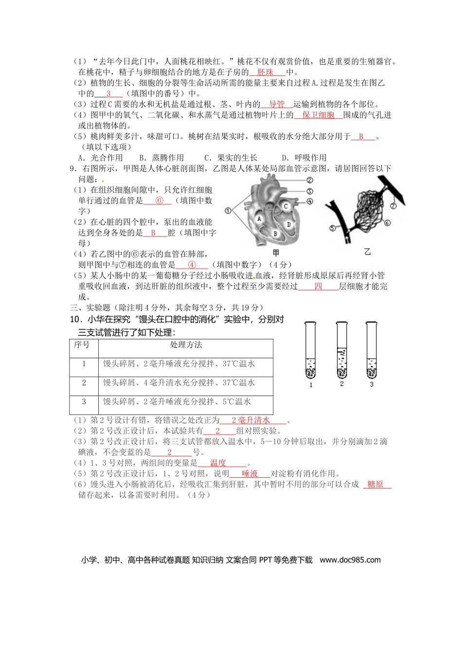 四川省泸州市2015年中考生物真题试题（含答案）.doc