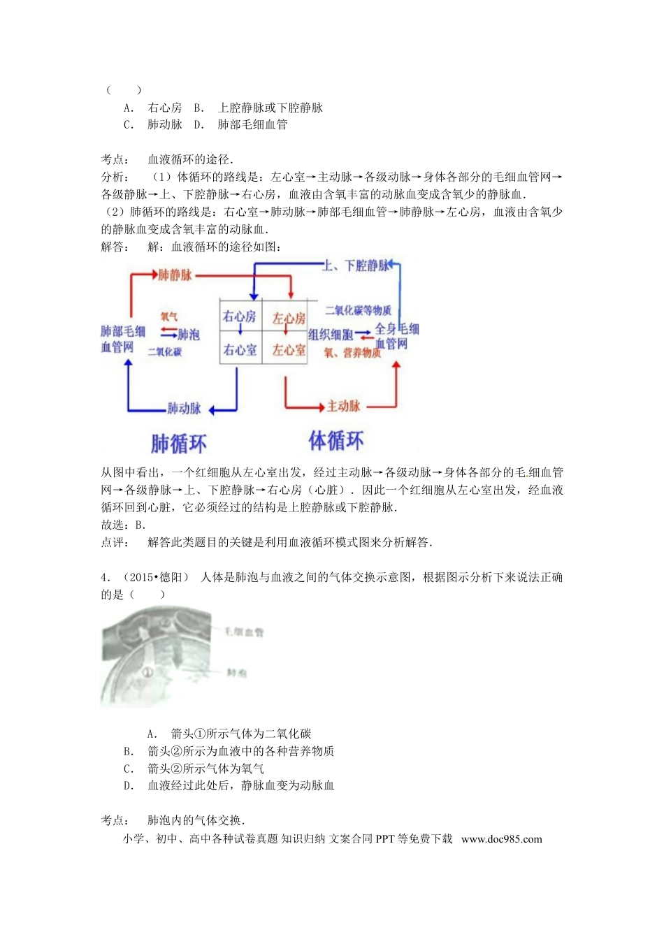 四川省德阳市2015年中考生物真题试题（含解析）.doc