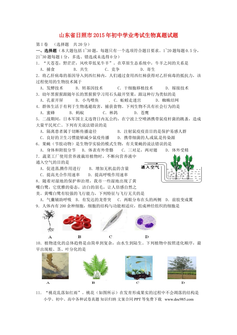 山东省日照市2015年中考生物真题试题（含答案）.doc